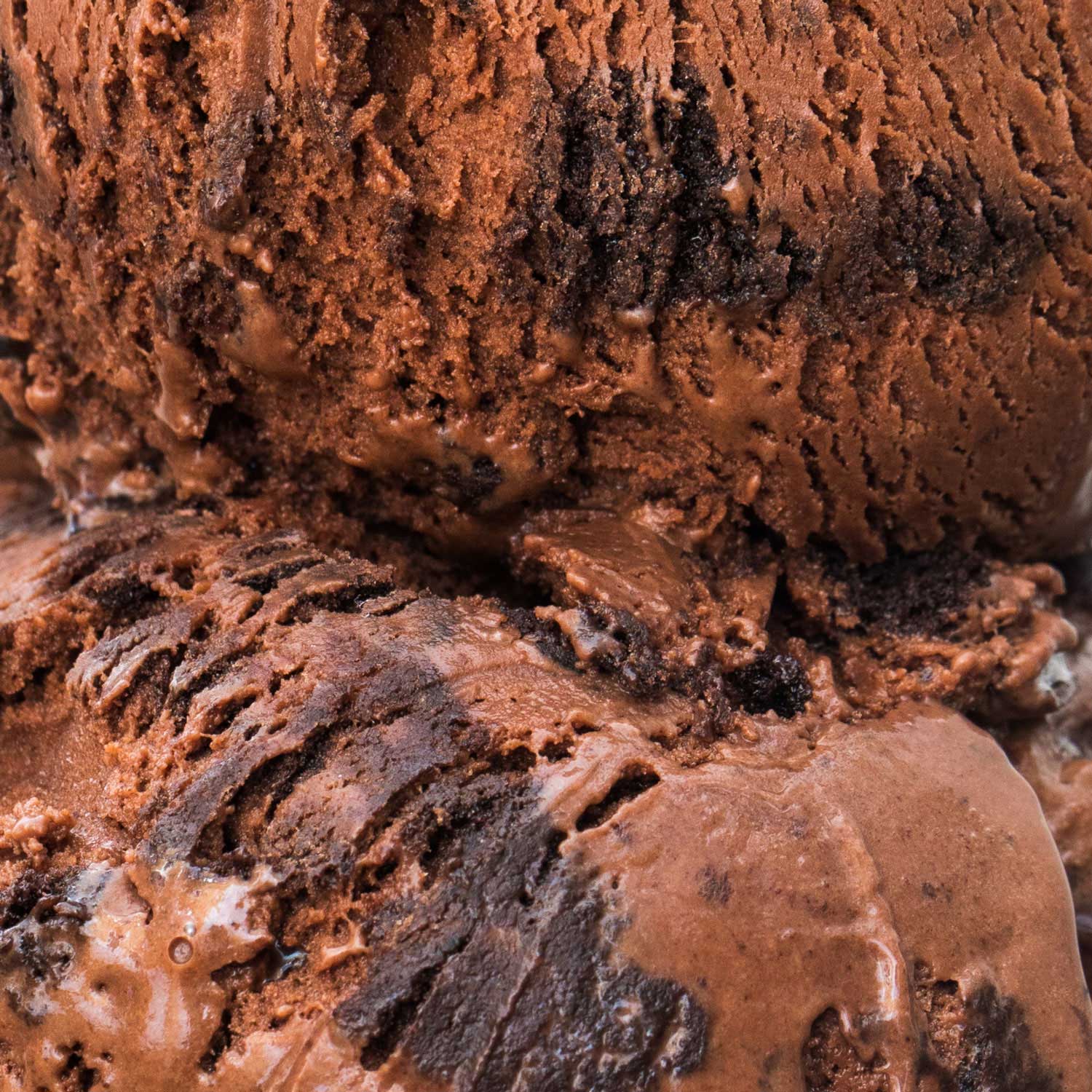 Alternative view of Blackout Chocolate Cake