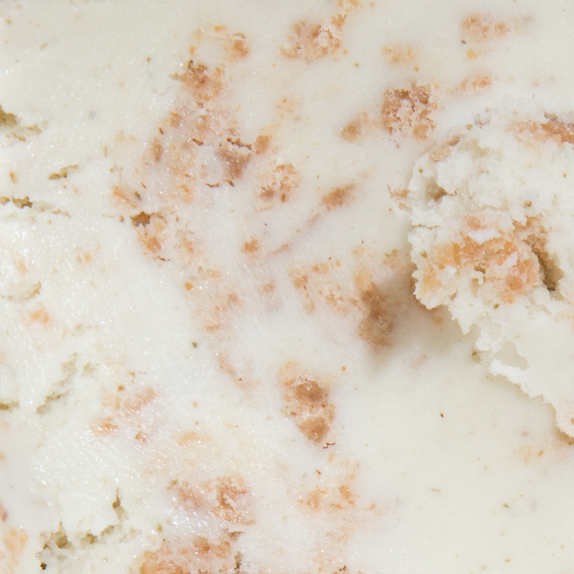 Alternative view of Bay Leaf Cheesecake